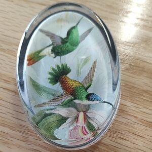 Oval Glass Hummingbird Paperweight with Green & Multicolor Illustration